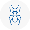 Ant Removals In Ashford Surrey