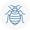 Bed Bug Extermination In Ashford Surrey