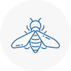 Bee Nest Removal Ashford Surrey