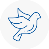 Bird Prevention Ashford Surrey
