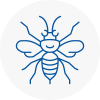 Ashford Surrey Hornet Nest Removals