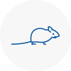 Mice Exterminators In Ashford Surrey