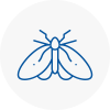 Moth Control Specialists In Ashford Surrey