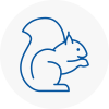 Ashford Surrey Rodent Removals