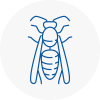 Ashford Surrey Wasp Nest Removal